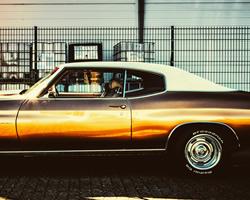 shop Landau Vinyl Tops products