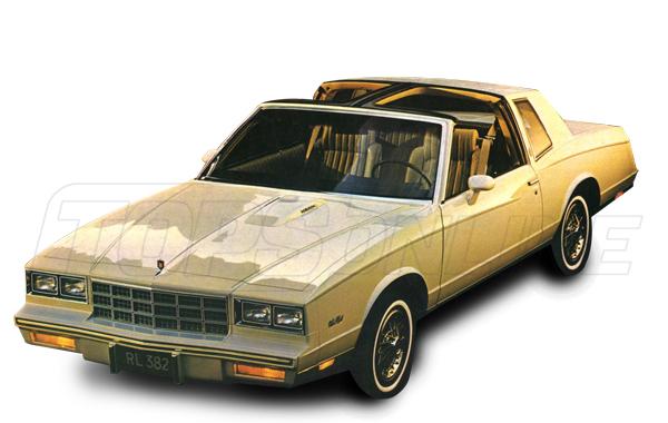 1978 thru 1981 Chevrolet Monte Carlo Coupe & T-Top